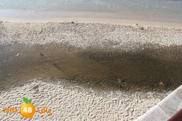 nakhom goldman majary (9).JPG